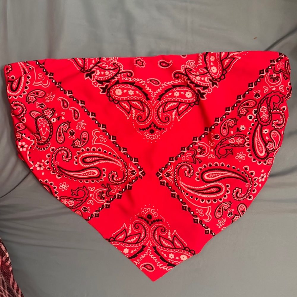 Bandana Print Bikini Top